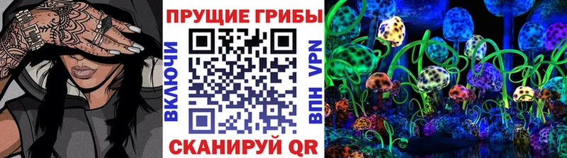 kraken зеркало  где найти   Закаменск  Псилоцибиновые грибы MAGIC MUSHROOMS 