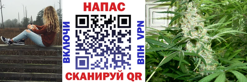 Шишки марихуана марихуана  Закаменск 